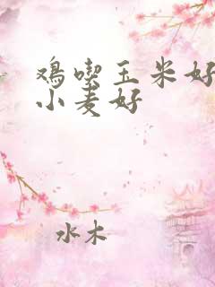 鸡吃玉米好还是小麦好