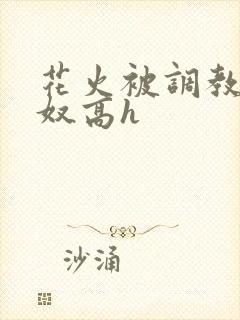 花火被调教成肉奴高h