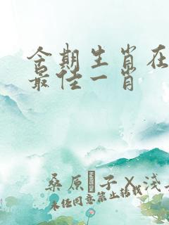 今期生肖在地支最佳一肖