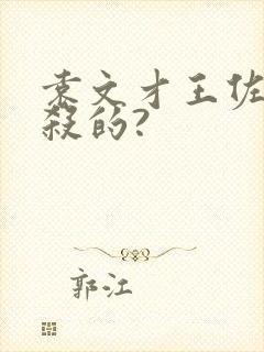 袁文才王佐是谁杀的?