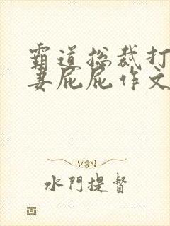 霸道总裁打小娇妻屁屁作文