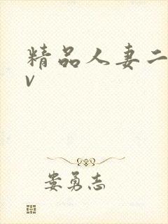 精品人妻二区av