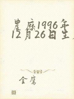 农历1996年12月26日生辰八字