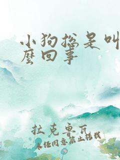 小狗总是叫是怎么回事 小狗总是叫是怎么回事
