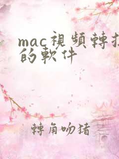 mac视频转换的软件