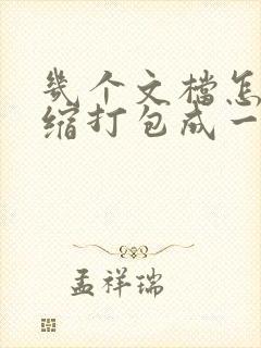 几个文档怎么压缩打包成一个