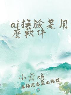ai换脸是用什么软件