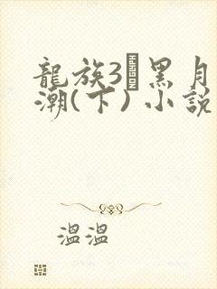 龙族3·黑月之潮(下) 小说txt下载