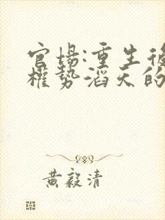 官场:重生后我权势滔天的小说