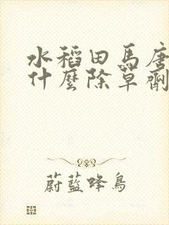 水稻田马唐草用什么除草剂最好