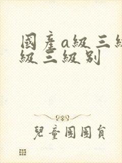 国产a级三级三级三级别