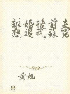 离婚后前夫总是想追我苏霓嘉