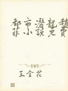 都市潜龙赵东苏菲小说免费阅读全文