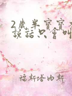 2岁半宝宝不太说话只会叫妈妈