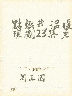 点燃我温暖你电视剧23集免费观看 点燃我温暖你电视剧23集免费观看