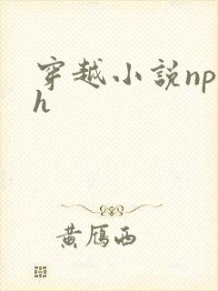 穿越小说np高h