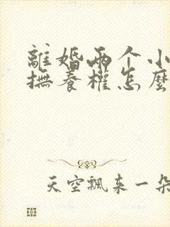 离婚两个小孩的抚养权怎么判