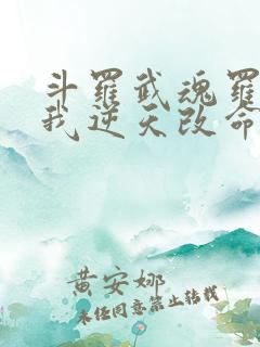 斗罗武魂罗三炮我逆天改命