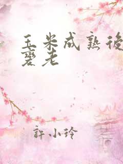 玉米成熟后几天变老