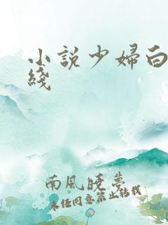 小说少妇白洁在线