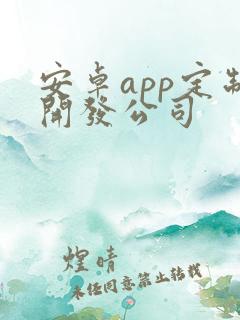安卓app定制开发公司
