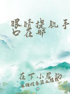 眼睛提肌手术伤口在哪 眼睛提肌手术伤口在哪