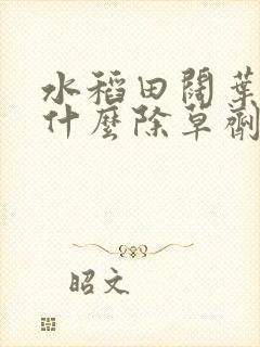 水稻田阔叶草用什么除草剂