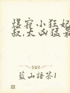 爆宠小狂妃:皇叔,太凶猛最新章节