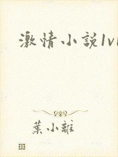激情小说1v1