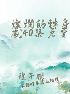 灿烂的转身电视剧40集免费观看