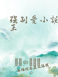 强制爱小说双男主