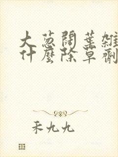 大葱阔叶杂草用什么除草剂