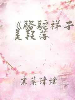 《骆驼祥子》优美段落