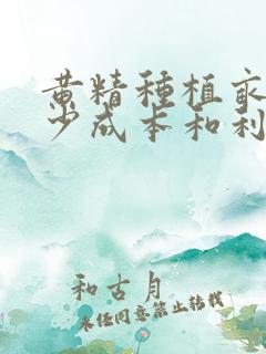 黄精种植亩产多少成本和利润