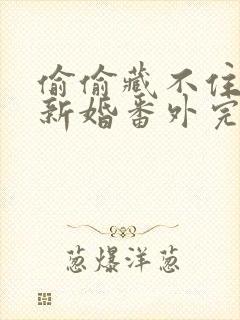 偷偷藏不住番外新婚番外完整版