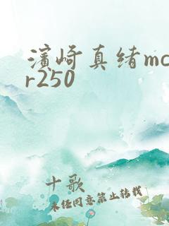 滨崎真绪mcsr250