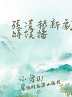 张凌赫新剧什么时候播