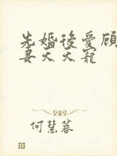 先婚后爱顾少娇妻天天宠