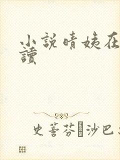 小说晴姨在线阅读