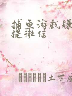 捕鱼游戏赚钱秒提微信 捕鱼游戏赚钱秒提微信