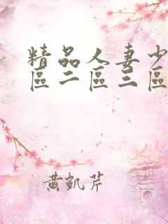 精品人妻少妇一区二区三区在线