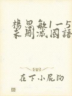杨思敏1一5集未删减国语 杨思敏1一5集未删减国语