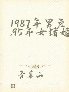 1987年男兔,95年女猪婚配
