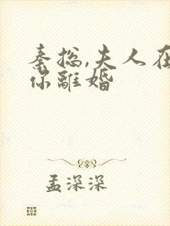 秦总,夫人在找你离婚
