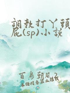 调教打丫头光屁屁(sp)小说