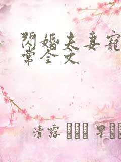 闪婚夫妻宠娃日常全文
