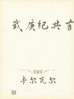 武庚纪共有几季