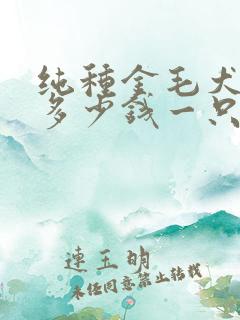 纯种金毛犬价格多少钱一只