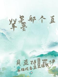 yy是哪个直播平台