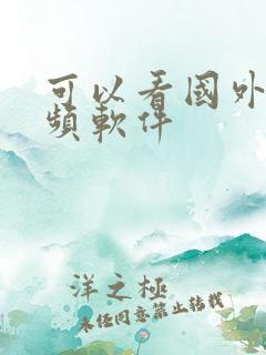 可以看国外短视频软件